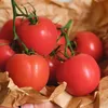 Chryso Lefou