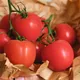 Chryso Lefou