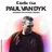 Paul Van Dyk