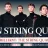 Vision String Quartet
