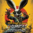 Chemical Illusions