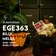 EGE363
