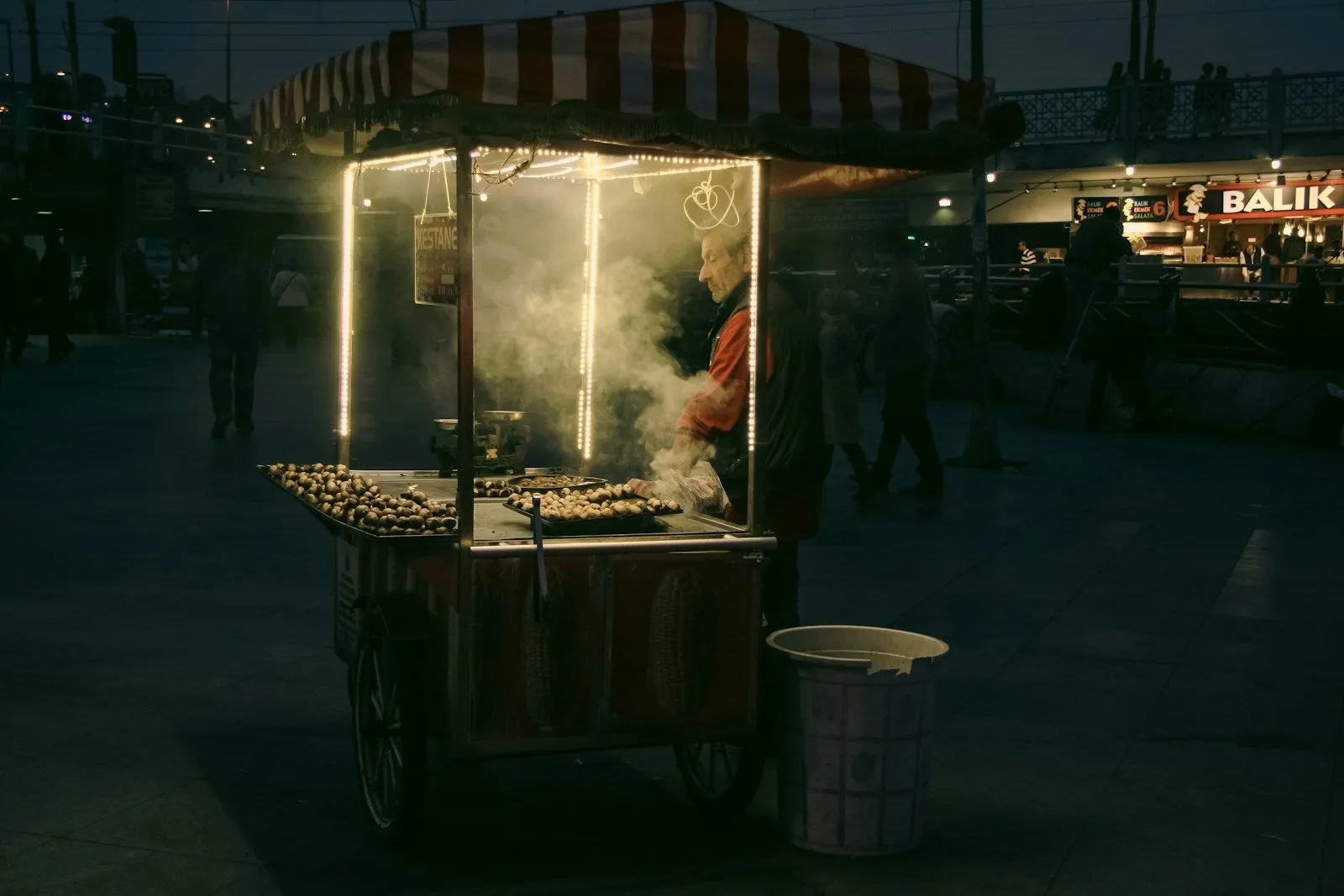 Chestnuts roasting on a street cart at night