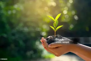 Planting for the Future: Tree Planting in Prastio Avdimou
