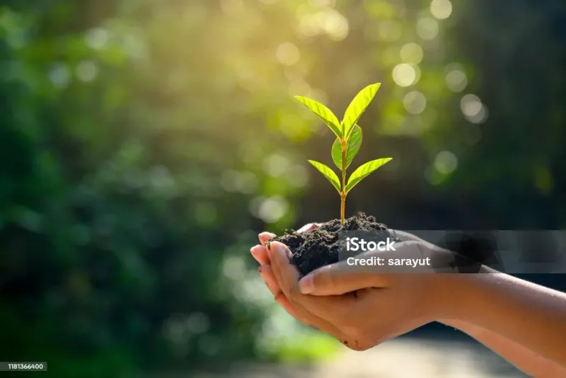 Посадка ради будущего: Tree Planting в Prastio Avdimou