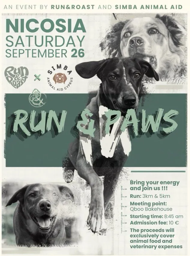 Run & Paws: Charity Run for Shelter Dogs in Nicosia