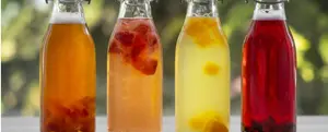 Kombucha Fermentation Workshop