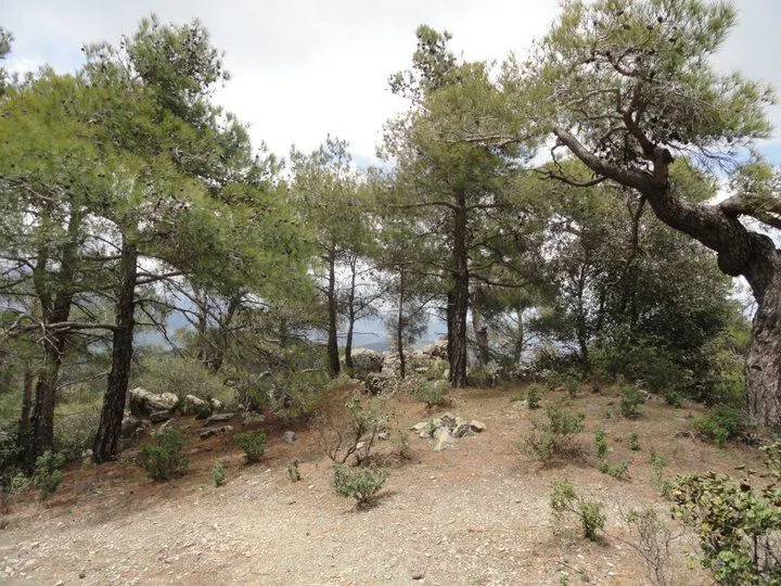 Moutti tis Choras: Hike in the Black Forests