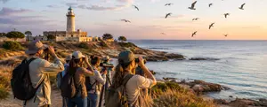 Birdwatching at Cape Paphos