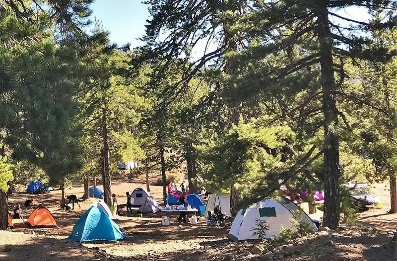 Troodos Camping Weekend: Mountain Adventures in Limassol
