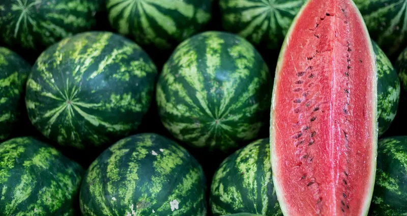Watermelon Festival 2026
