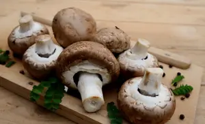 Cyprus Mushroom Festival 2026, Erimi Village