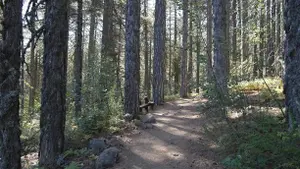 Autumn Hike