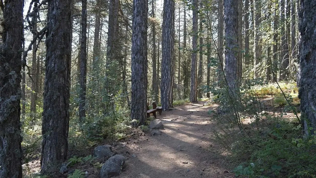 Autumn Hike