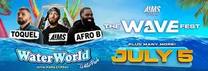 THE WAVE FEST - AFRO B // A!MS // TOQUEL + more surprise guests!