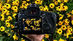 Level 1 Digital Photography: Hands-On Camera Training