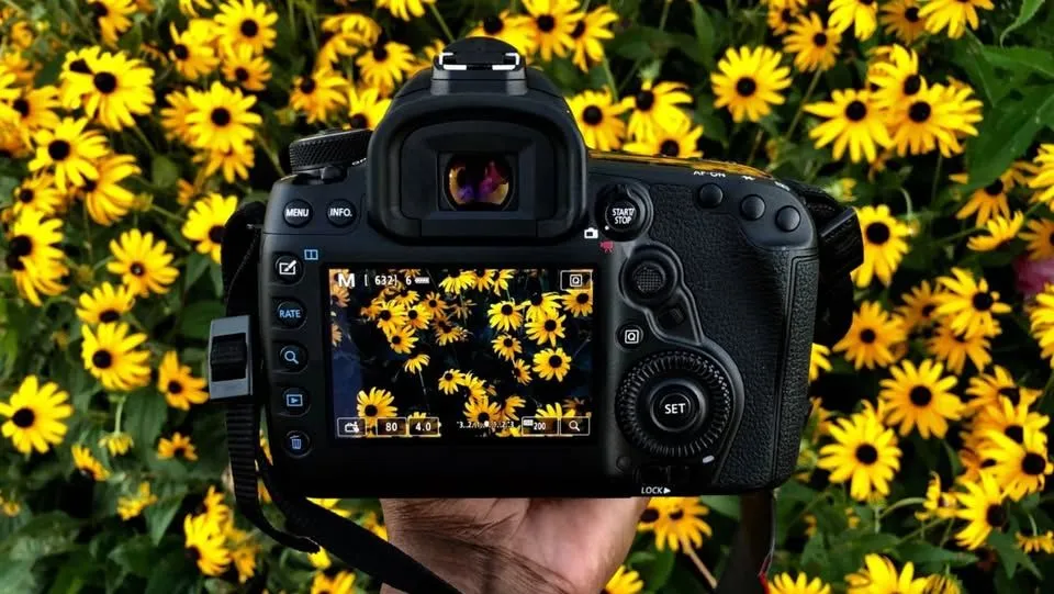 Level 1 Digital Photography: Hands-On Camera Training
