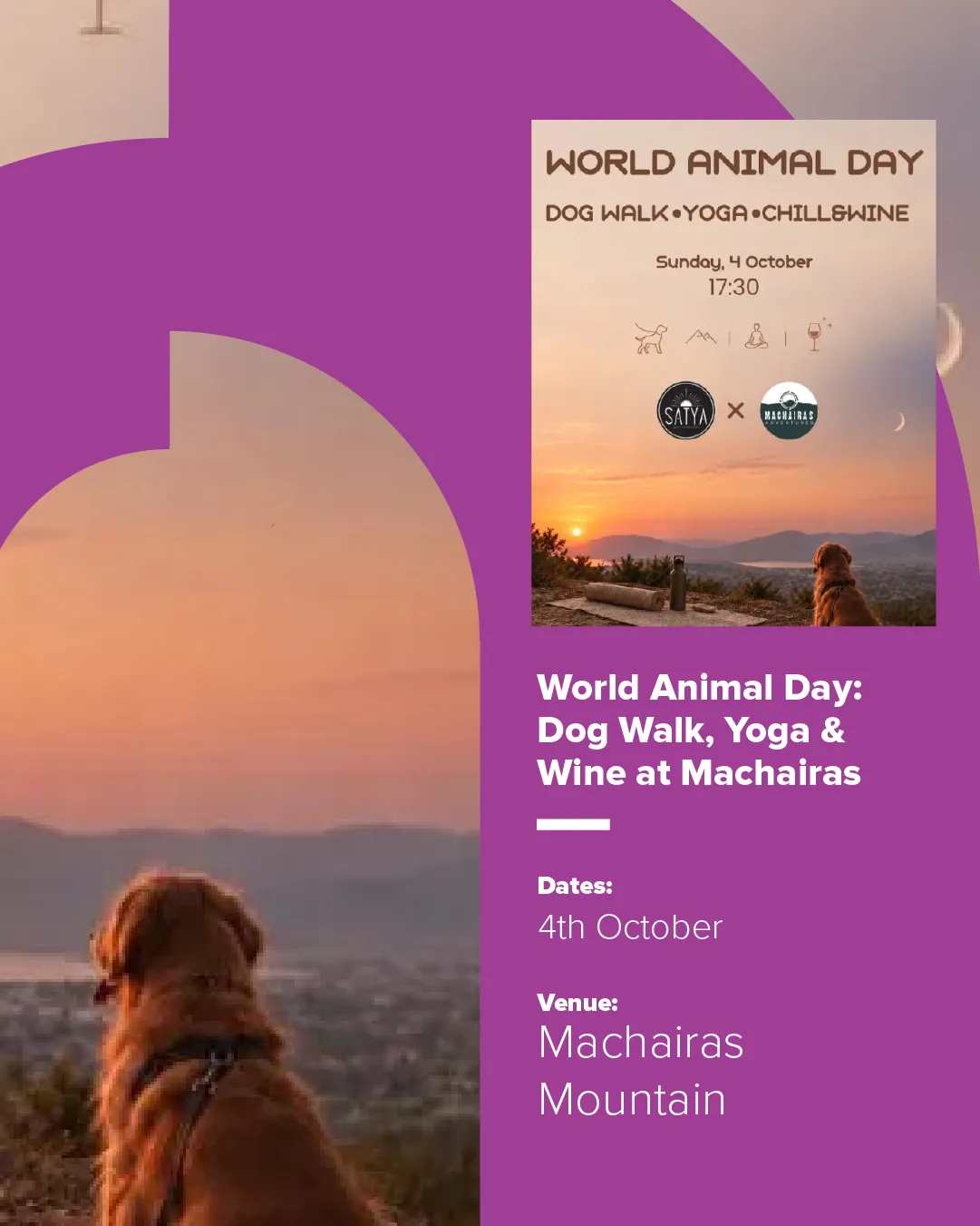 Mountain Walk, Slow Yoga And Meditation, And A Relaxed Chill Session With Wine And Light Snacks Under The Stars