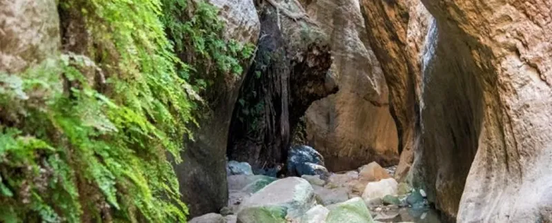 Εκδρομή & Πεζοπορία στο Avakas Gorge