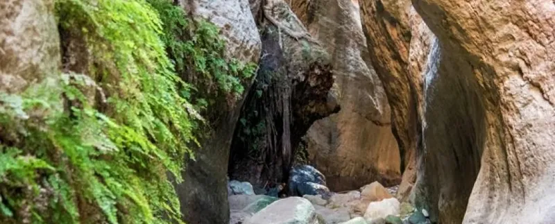 Εκδρομή και Πεζοπορία στο Avakas Gorge