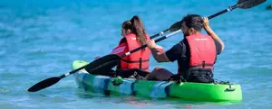 Morning Sea Kayaking at Governor's Coast