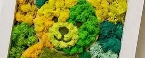 Moss Teddy Bear. Art Workshop