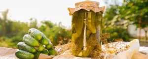 Pickle Festival