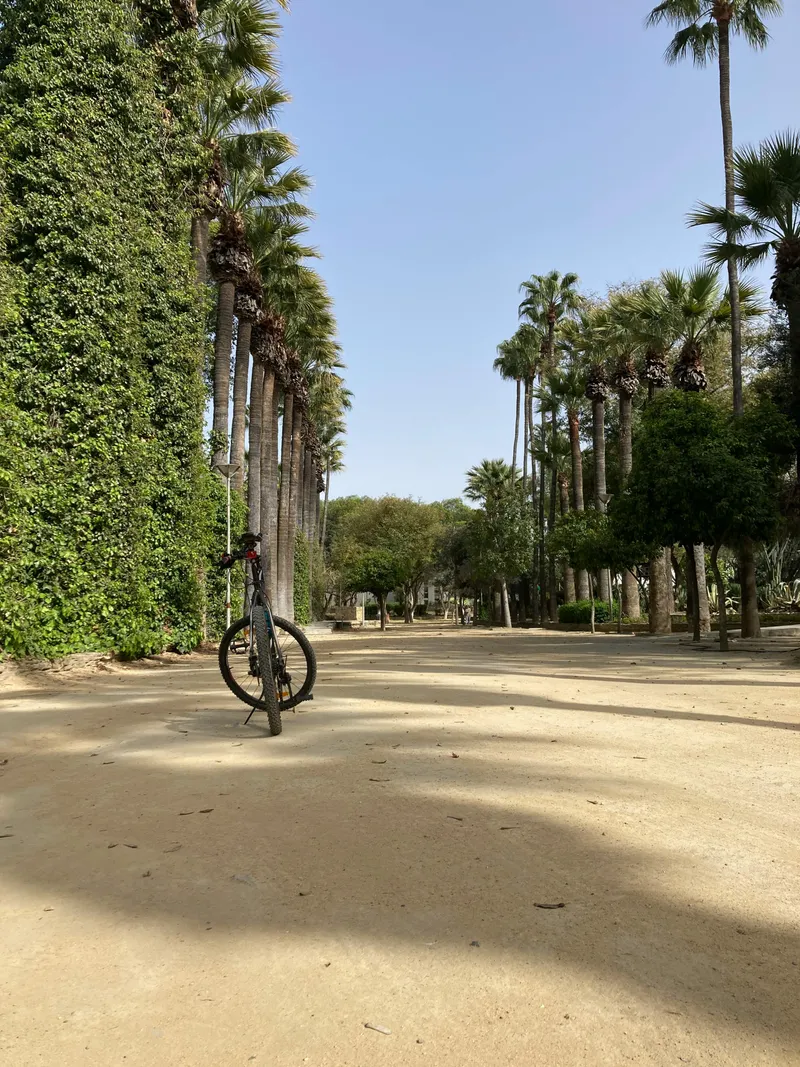 Nicosia: City Highlights & Old Town Bike Tour
