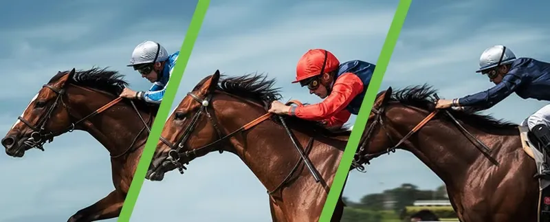 Thrilling Horse Races at the Nicosia Race Club