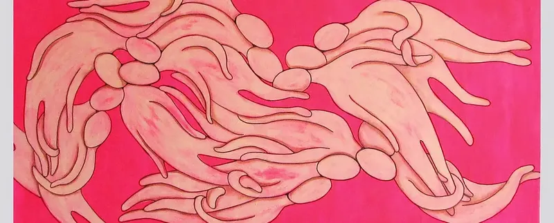 Between Imagination and Hope