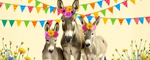 May Donkeys Festival
