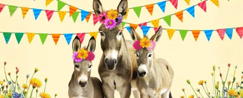 May Donkeys Festival
