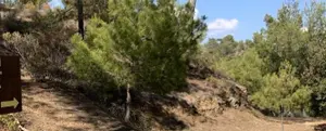 Hiking the Gefyria Trail