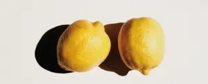 The 1st Lemon and Folk Crafts Festival