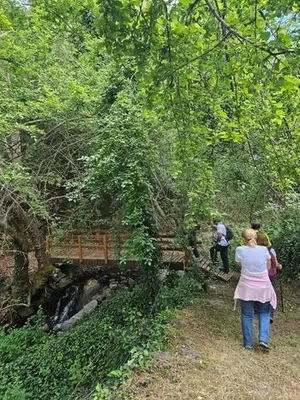 Cherry Festival Walk: Nature Trail in Pedoulas