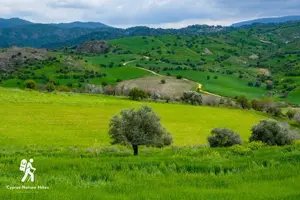Cyprus Nature Hikes: Guided Hiking Tour from Byron’s Market