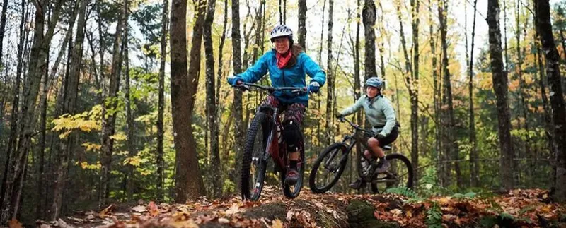 Forest Escape Ride