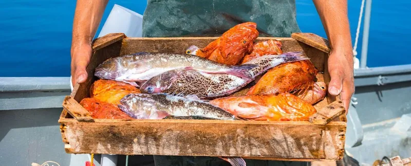 Xylofagou Fish Festival 2026