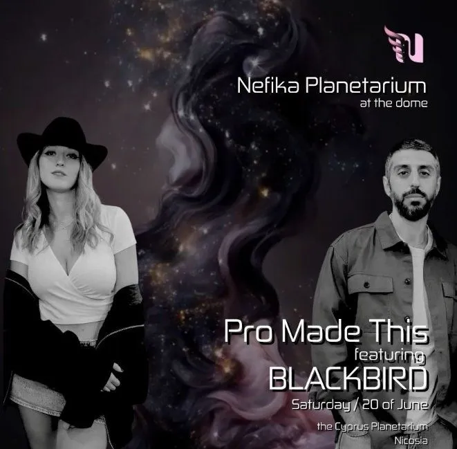 Pro Made This featuring Blackbird: Dome Techno Experience