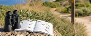 Birdwatching in Atalassa Park and Agios Sozomenos