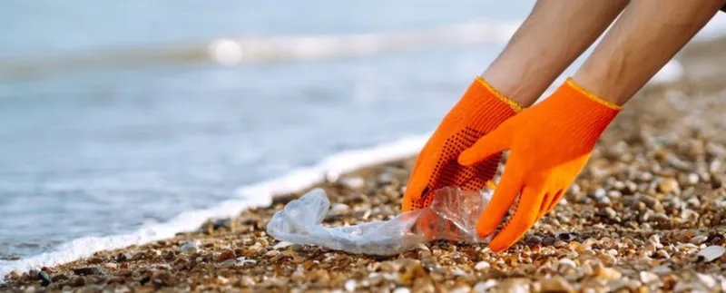 Venus Beach Cleanup