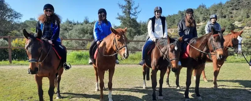 Horse Riding Experience