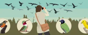 Autumn Festival dedicated to migratory birds