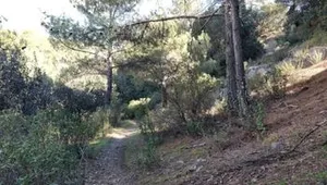 Duo Mouttes Pavliades: Relaxing Evening Hiking in Nicosia