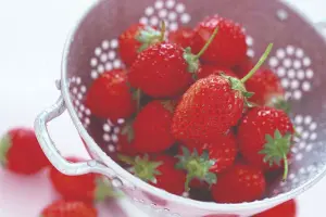 Strawberry Festival