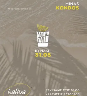 Aspropato Beach Party: Summer Cocktail Event in Famagusta
