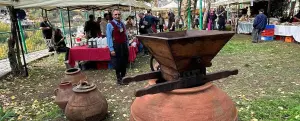 The 4th Wine Festival in Platanistas