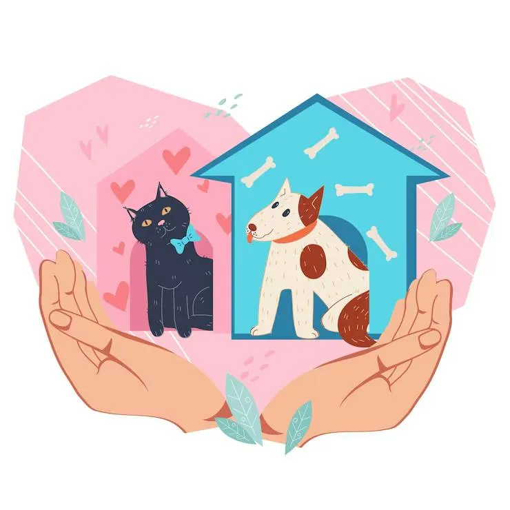 Kindness to Animals