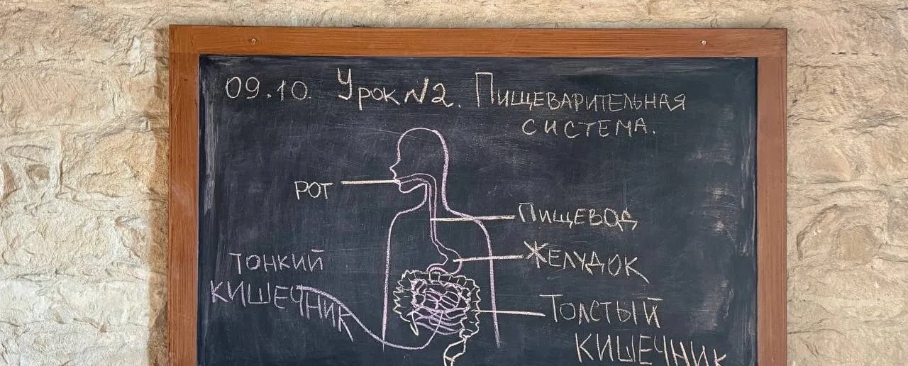 Клуб "Young Doctor"