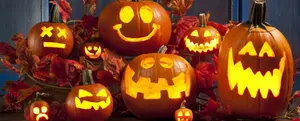 Halloween Boozar